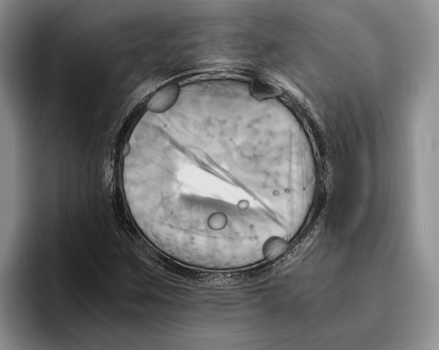 X0000096221259200802151515