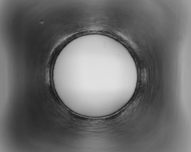 X0000096221262200802151515