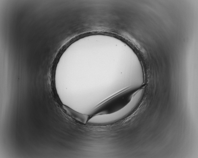 X0000096221264200802151515