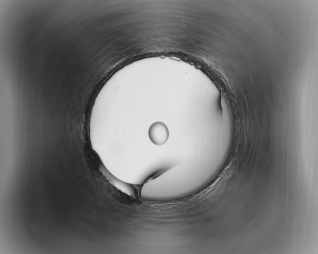 X0000096221265200802151515