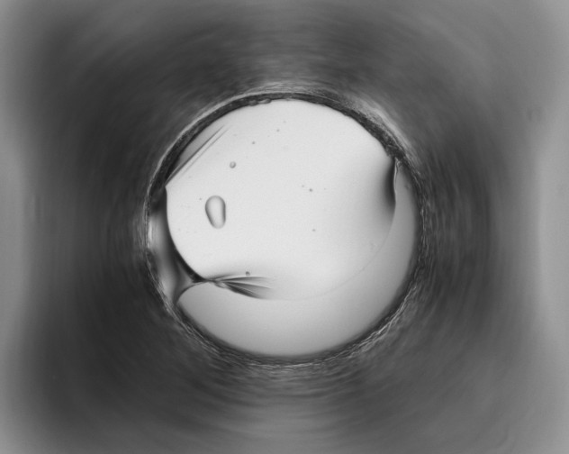 X0000096221268200802151515