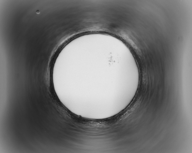 X0000096221270200802151515