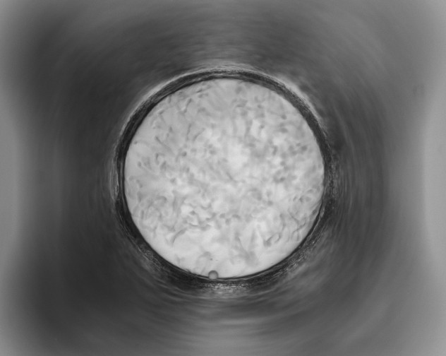 X0000096221271200802151515