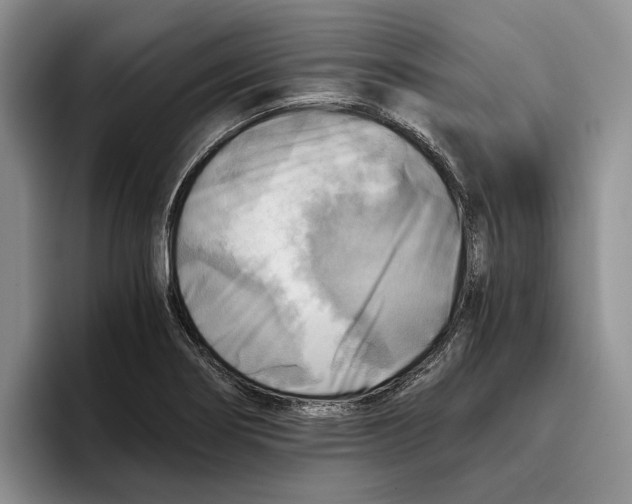 X0000096221274200802151515