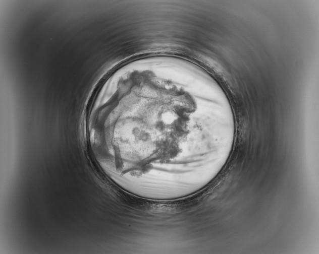 X0000096221275200802151515