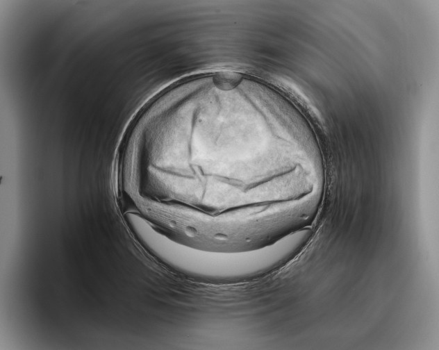 X0000096221276200802151515