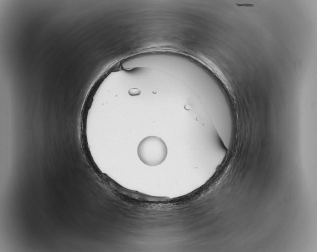 X0000096221277200802151515