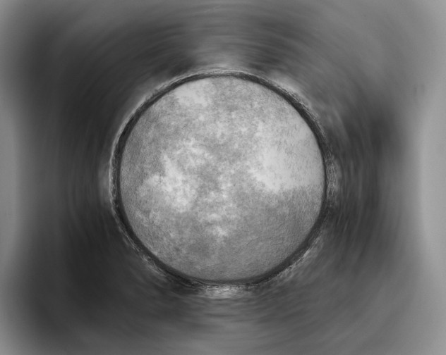 X0000096221278200802151515