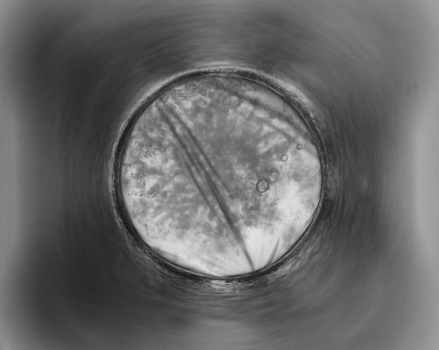 X0000096221279200802151515