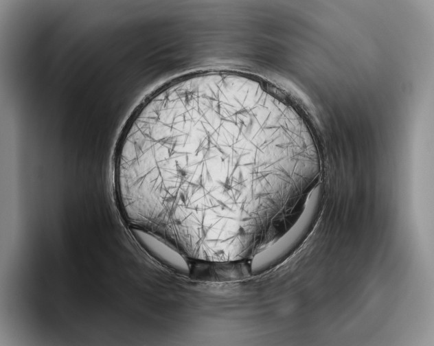 X0000096221280200802151515