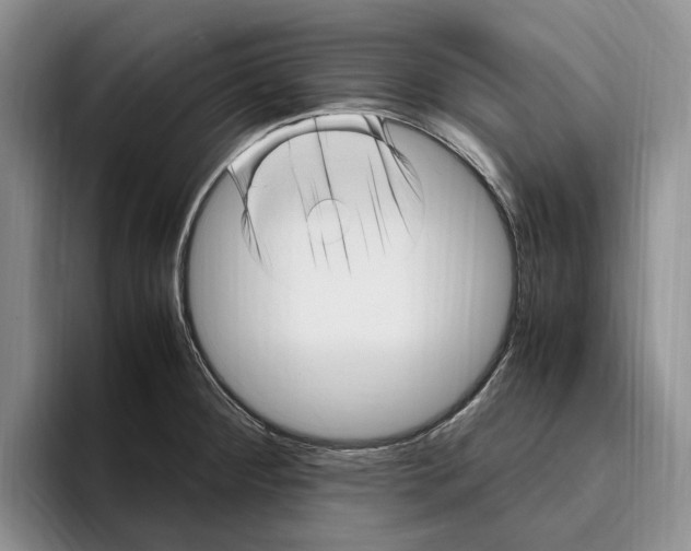 X0000096221284200802151515