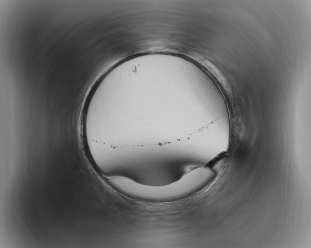 X0000096221285200802151515