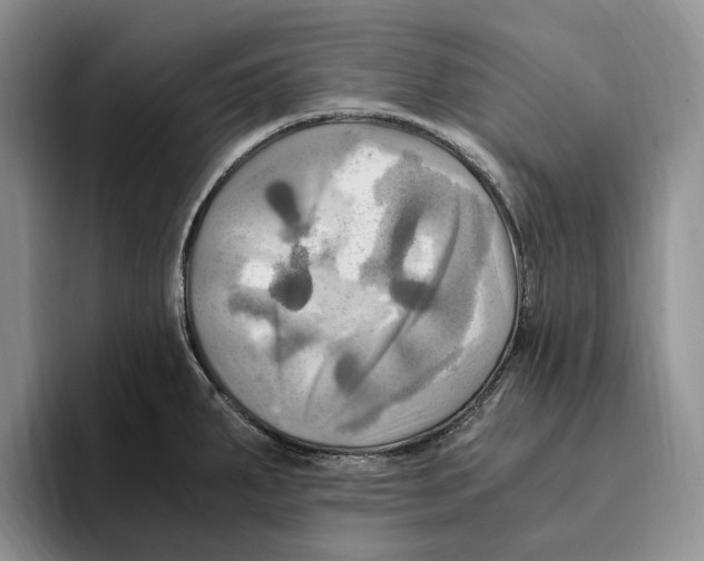 X0000096221287200802151515