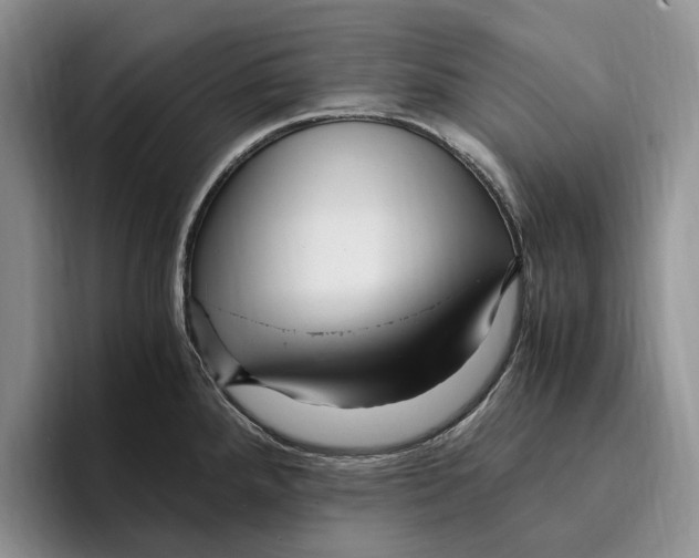 X0000096221288200802151515