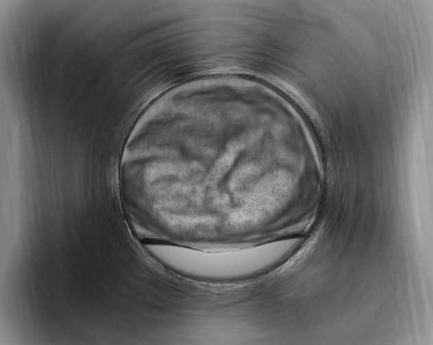 X0000096221289200802151514