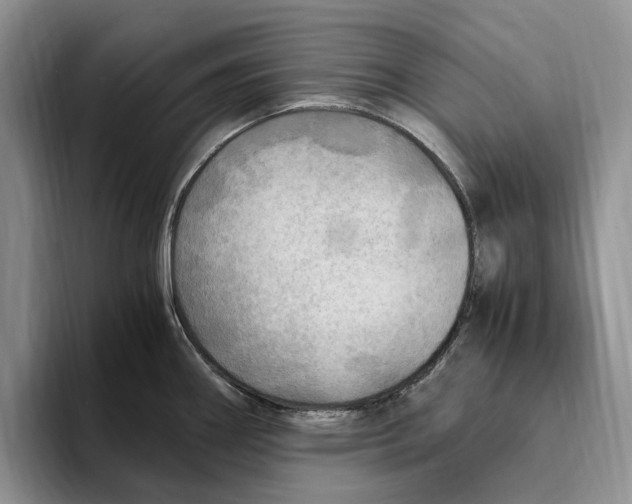 X0000096221290200802151514