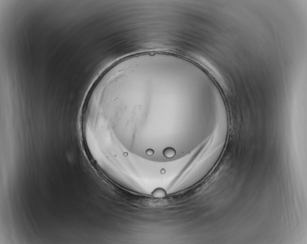 X0000096221291200802151514