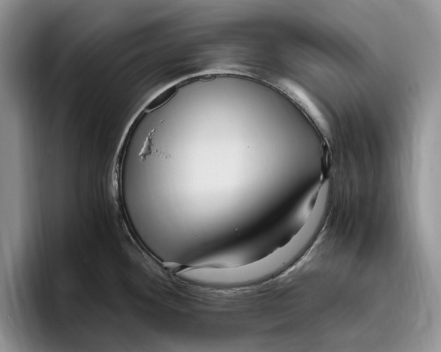 X0000096221292200802151514