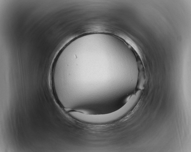 X0000096221293200802151514