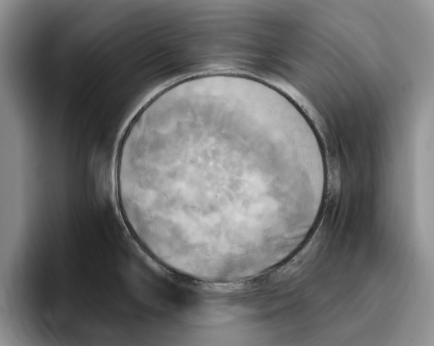 X0000096221294200802151514