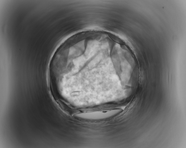 X0000096221295200802151514