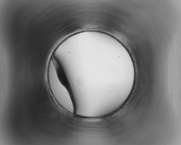 X0000096221296200802151514