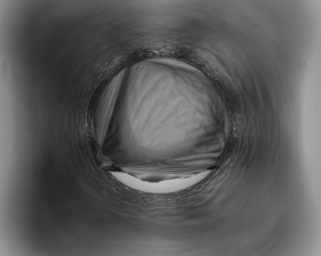 X0000096221298200802151514