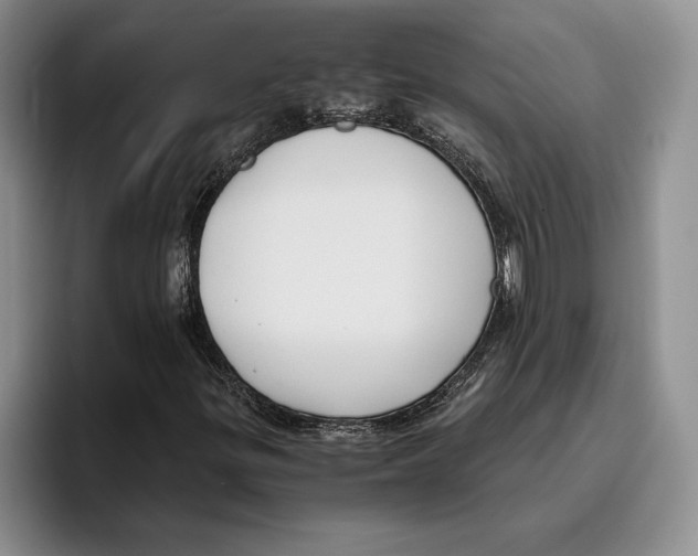 X0000096221299200802151514