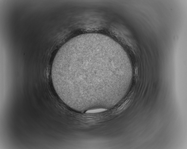 X0000096221300200802151514