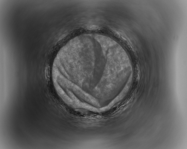 X0000096221301200802151514