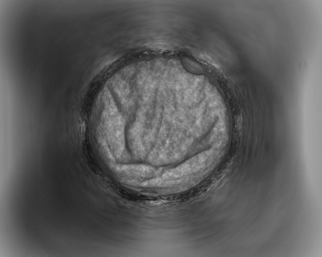 X0000096221302200802151514