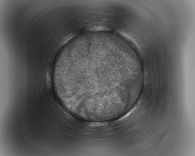 X0000096221305200802151514