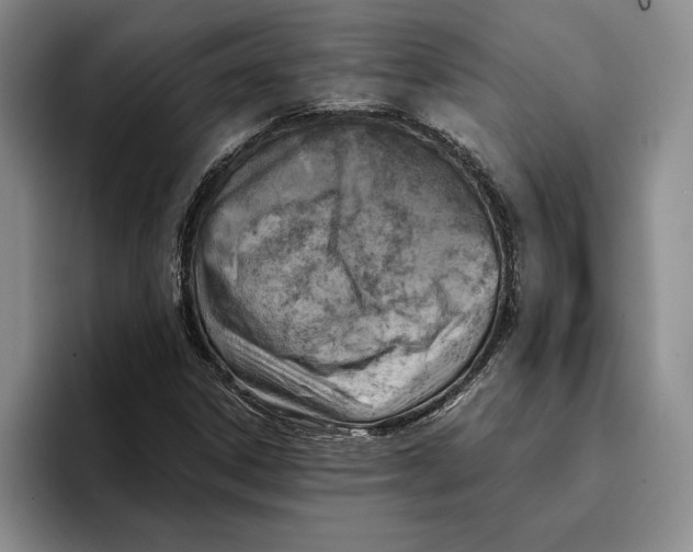 X0000096221306200802151514