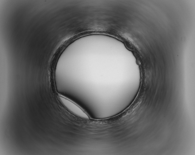 X0000096221307200802151514