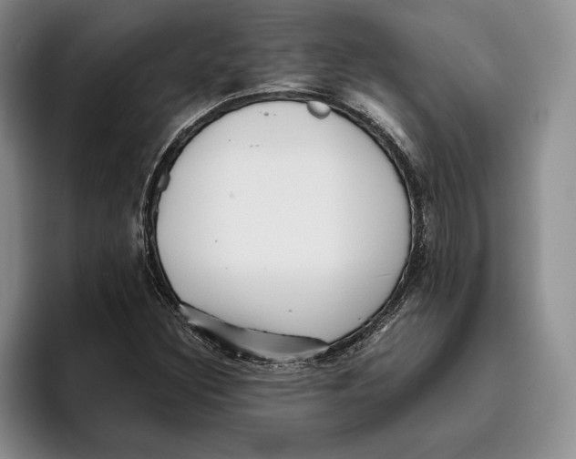 X0000096221308200802151514