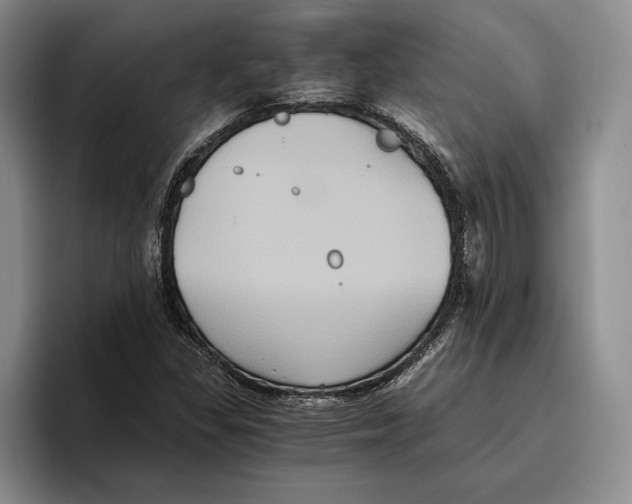 X0000096221309200802151514