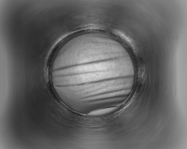 X0000096221310200802151514