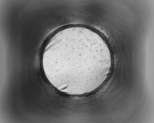 X0000096221311200802151514