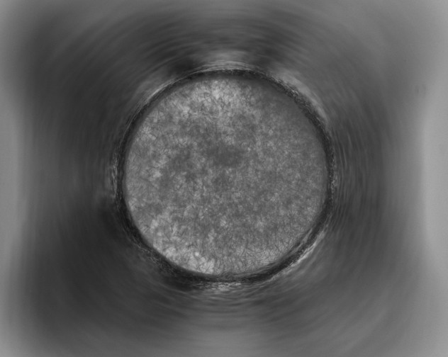 X0000096221313200802151514