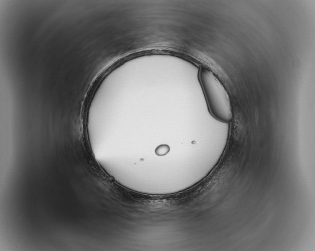 X0000096221316200802151514