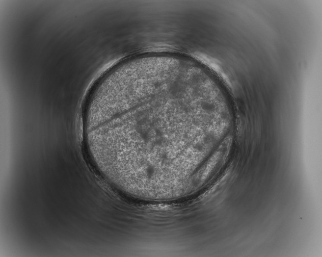 X0000096221317200802151514