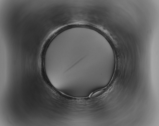 X0000096221319200802151514