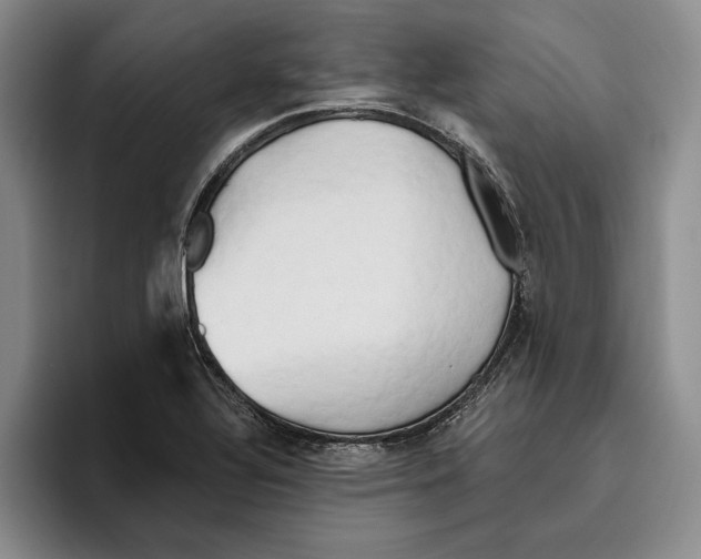 X0000096221320200802151514