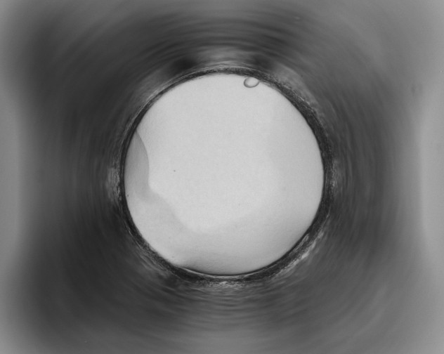 X0000096221321200802151514