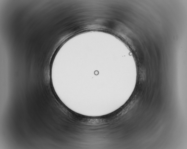 X0000096221322200802151514