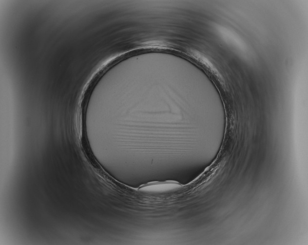 X0000096221323200802151514