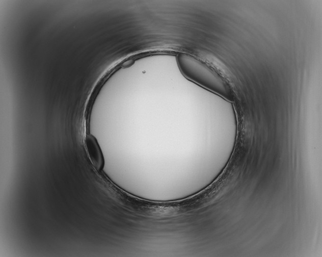 X0000096221324200802151514