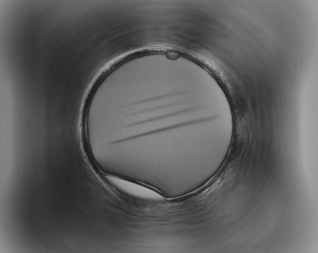 X0000096221327200802151514