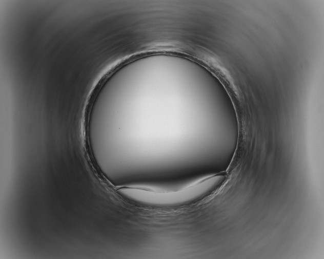 X0000096221328200802151514