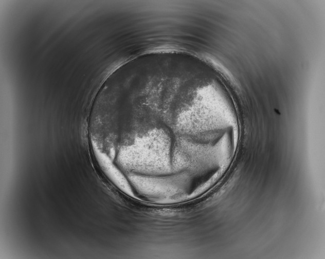 X0000096221329200802151514